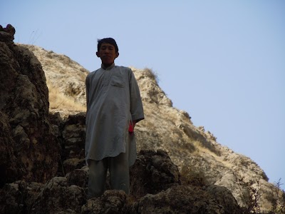 DSCN3956.jpg