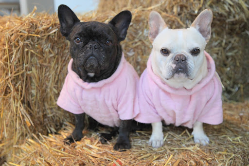 We are so glad that the barn animals have their winter hay!14