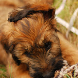Abi - DSC_0048.jpg