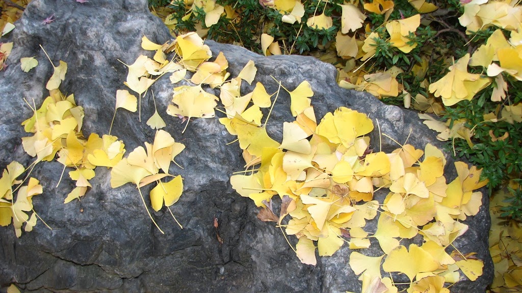 [IMG_4112%255B3%255D.jpg]