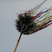 P1010144.JPG