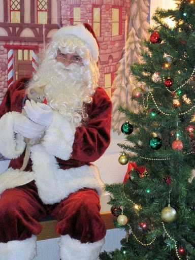 Visiting Santa isn't just for the dogs—Tracy L's kitten, Bubba, is ready with a catnip-filled wish list!