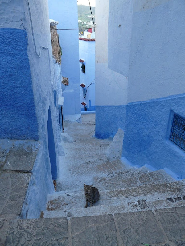 Chefchaouen, la ciudad azul de Marruecos Chefchaouen, la ciudad azul de Marruecos