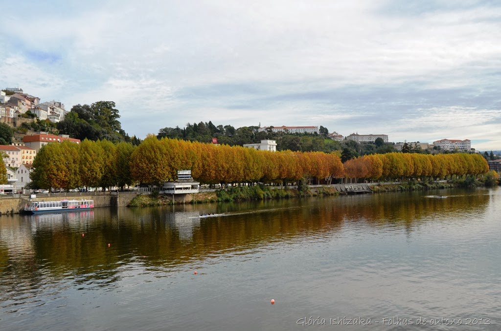[Glria-Ishizaka---Folhas-de-Outono-31.jpg]
