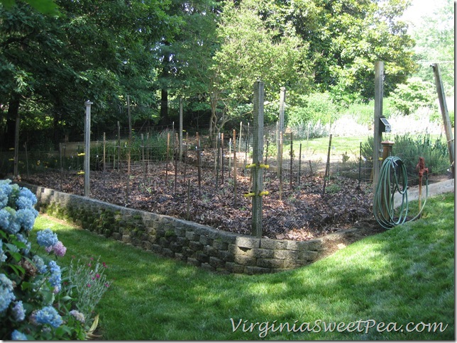 Planted Garden2 Planted Garden2