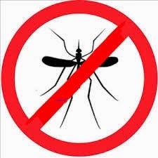 [mosquito%255B4%255D.jpg]
