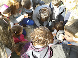 2012-01-27 15.12.33.jpg