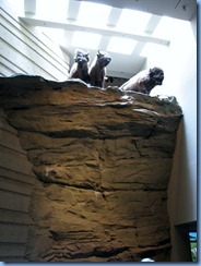 1090 Alberta Hwy 785 West - Head-Smashed-In Buffalo Jump Interpretive Centre