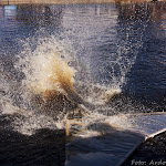 01.05.12 Tartu Kevadpäevad 2012 - Karsumm - AS20120501TKP_V303.JPG