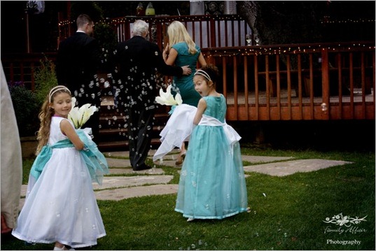 The Mountain Terrace, SF Bay Area Wedding SONY DSC