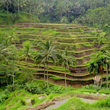 Ubud