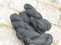 IMG_1134 IMG_1134