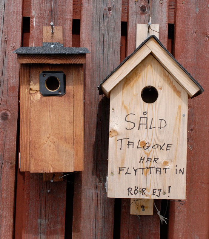 [_DSC0046h%255B3%255D.jpg]