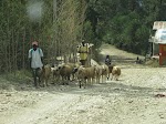 IMG_0807.JPG