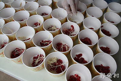 [臺南-活動] 2012 臺灣牛肉嘉年華