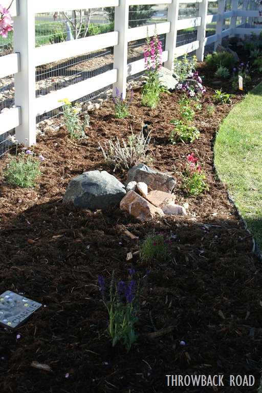 [Raised%2520Garden%2520Spring%25202012%2520006%255B11%255D.jpg]