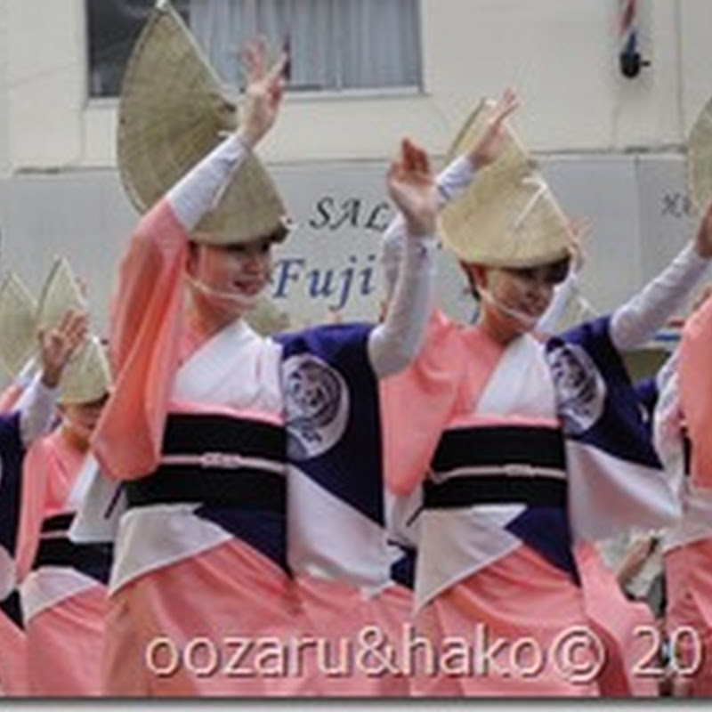 Koenji Awaodori - 高円寺の阿波踊り