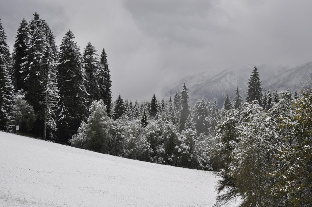 [2011-10-07-Garmisch-1001.jpg]