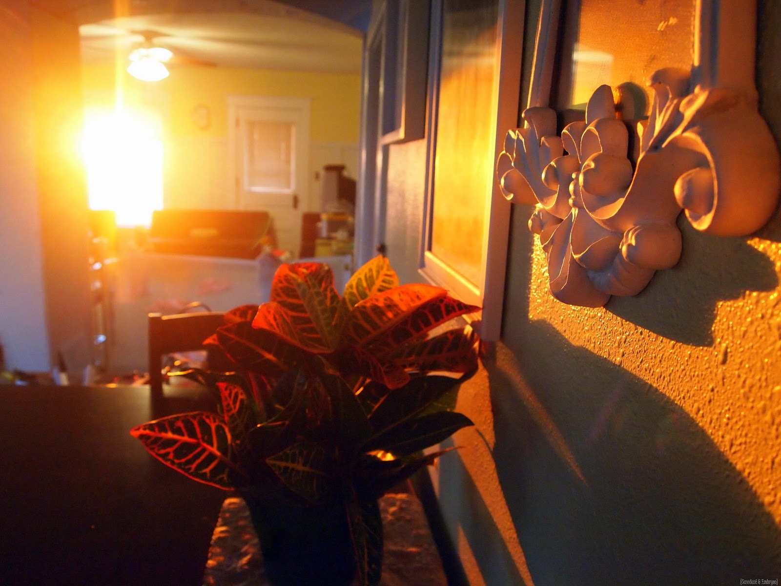 [PA303266%255B8%255D.jpg]