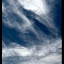 marbella1.jpg