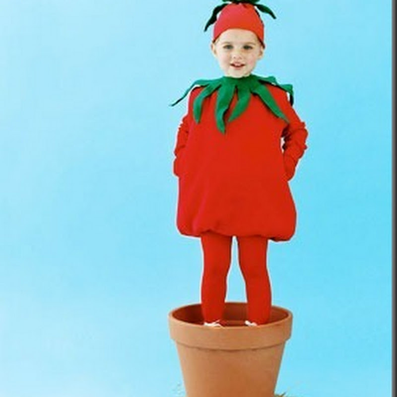 Disfraz casero de Tomate - TODO HALLOWEEN