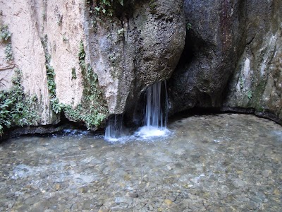 DSCN3887.jpg