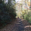 DSCF9290.JPG