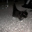 DSCN7691.jpg