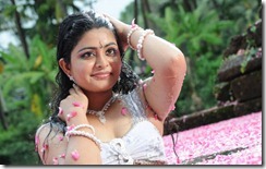 Actress Swathi Hot Stills in Pathirama Pathukkunga