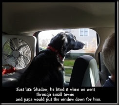 Just like Shadow, he liked it when we went<br /> through small towns <br />and papa would put the window down for him. Just like Shadow, he liked it when we went<br /> through small towns <br />and papa would put the window down for him.