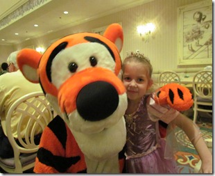 IMG_2802 IMG_2802