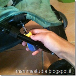 IMG_0967 IMG_0967