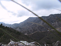 IMG_4680.JPG Photo