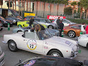 trophe en corse oktober 2009 007.jpg