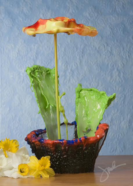 fiori-liquidi-jack-long-04-terapixel.jpg