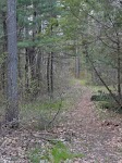 DSC03176_new.jpg