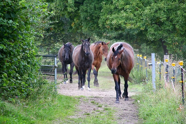 [IMG_5512%255B2%255D.jpg]