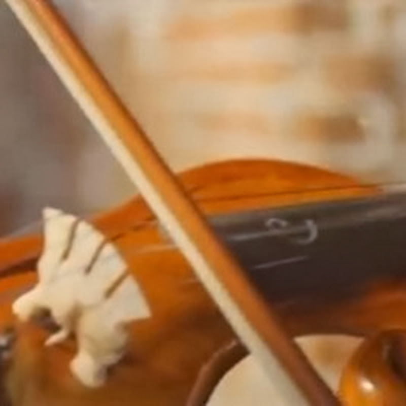 Eine Zelda Darbietung mit der Violine, die es Helden der Zeit mehr als würdig ist