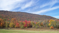 Whittaker Station Photo