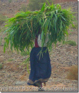 Carrying home the greenery