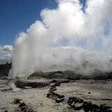North Island - Rotorua
