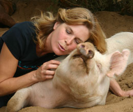 Becoming a mother makes you the mother of all children. From now on each wounded, abandoned, frightened child is yours. You live in the suffering mothers of every race and creed and weep with them. You long to comfort all who are desolate. --Charlotte Gray. (In photo: Lorri Bauston of Animal Acres and a rescued piggy) Becoming a mother makes you the mother of all children. From now on each wounded, abandoned, frightened child is yours. You live in the suffering mothers of every race and creed and weep with them. You long to comfort all who are desolate. --Charlotte Gray. (In photo: Lorri Bauston of Animal Acres and a rescued piggy)