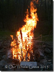 central fire flaming1 central fire flaming1