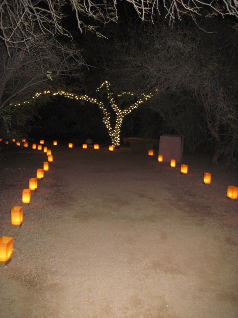 [desert%2520botanical%2520022%255B4%255D.jpg]
