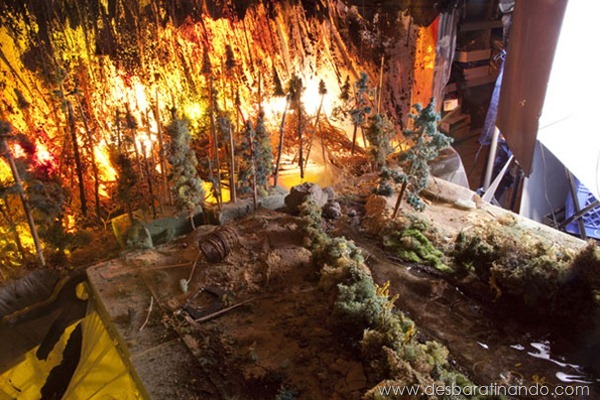 diorama-strange-worlds-wildfire-matthew-albanese-2 diorama-strange-worlds-wildfire-matthew-albanese-2