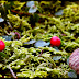 DSCN4341.JPG
