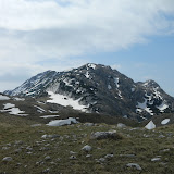 Ružica - Pivska planina