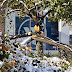 2011-12 First Winter Storm 1026.jpg