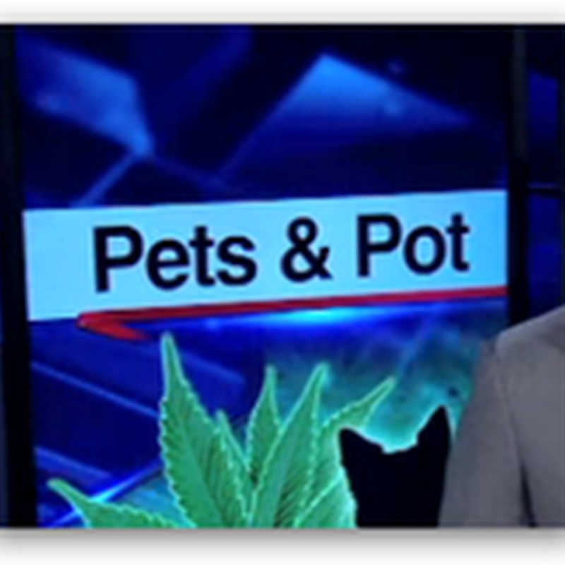 FDA Warns “Don’t Get Your Dog Stoned” With the Uptick of Pet Hemp Products and Clean Up Your Advertising Warning To Two Companies Selling the Products…