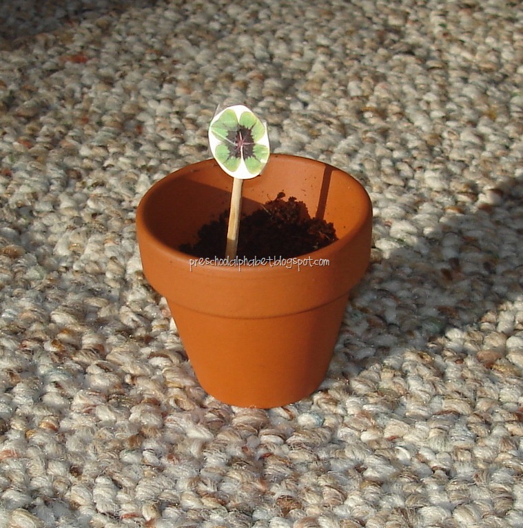 [%252862%2529%2520matt%2527s%2520shamrocks%255B4%255D.jpg]